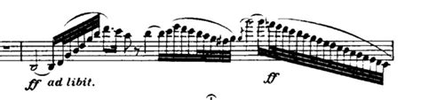 What Is a Cadenza in Music: A Detailed Exploration